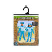 Picture of MINECRAFT ARMOR COSTUME 4-6 YEARS